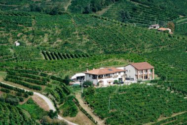 Cantina Ruge