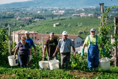 Il team di Ruge