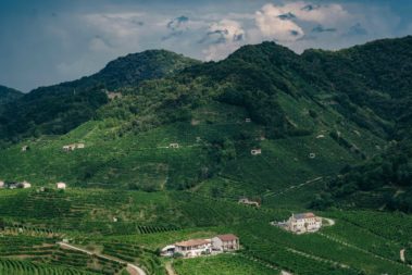 Colline
